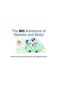 The BIG Adventure of Webster and Molly!