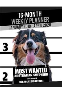 2019-2020 Weekly Planner - Most Wanted Australian Shepherd (Aussie)