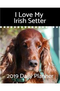I Love My Irish Setter