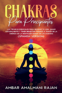 Chakras Para Principiantes