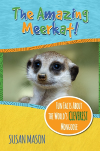 Amazing Meerkat!