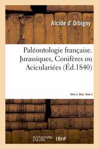 Paléontologie Française. Série 2. Jurassiques, Conifères Ou Aciculariées. Tome 3. Atlas: Description Zoologique Et Géologique Des Animaux Mollusques Et Rayonnés Fossiles de la France