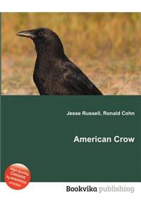 American Crow