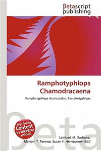 Ramphotyphlops Chamodracaena
