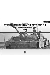 Sturmgeschutz III on the Battlefield