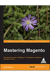 Mastering Magento: Maximize The Power Of Magento: For Developers, Designers And Store