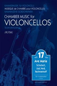 CHAMBER MUSIC FOR CELLOS VOL17