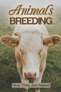 Animals Breeding