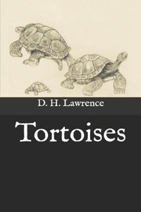 Tortoises