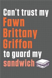 Can't trust my Fawn Brittany Griffon to guard my sandwich