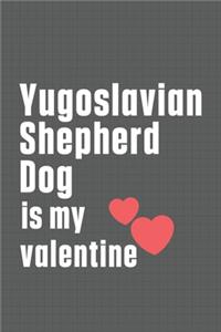 Yugoslavian Shepherd Dog is my valentine