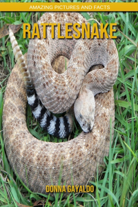 Rattlesnake