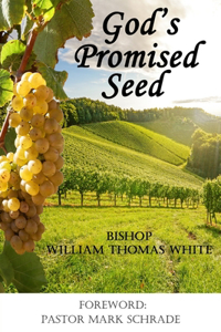 God's Promised Seed