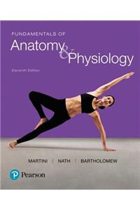 Fundamentals of Anatomy & Physiology