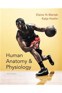 Human Anatomy & Physiology Plus Masteringa&p with Etext -- Access Card Package