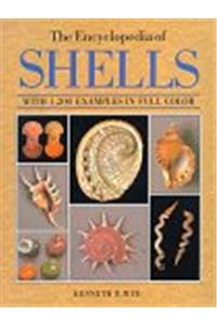 Encyclopedia of Shells