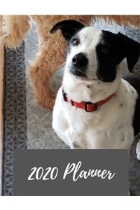 2020 Planner