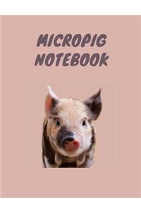 Micropig Notebook