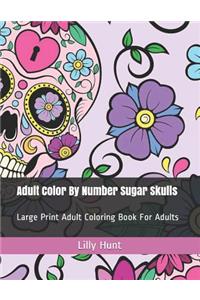 Adult Color by Number Sugar Skulls