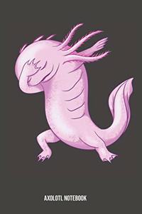 Axolotl Notebook