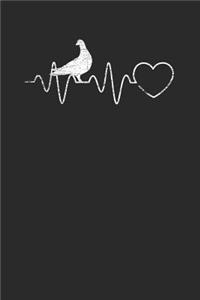 Pigeon Heartbeat