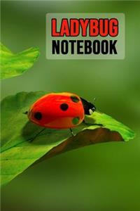 Ladybug Notebook