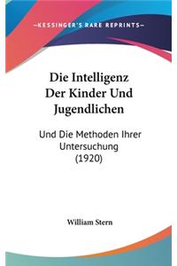 Die Intelligenz Der Kinder Und Jugendlichen