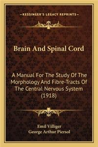 Brain and Spinal Cord