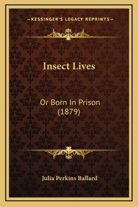 Insect Lives