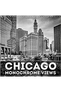 Chicago Monochrome Views 2017