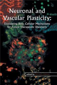 Neuronal and Vascular Plasticity