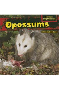 Opossums