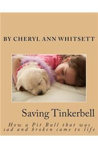 Saving Tinkerbelle