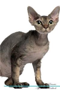 Devon Rex Affirmations Workbook Devon Rex Presents
