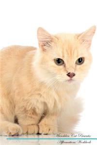 Munchkin Cat Affirmations Workbook Munchkin Cat Presents