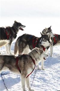 Dog Sled Team Journal