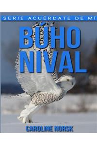 Búho nival