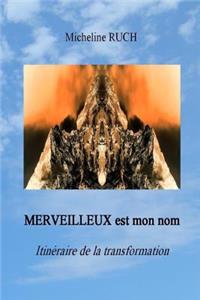 MERVEILLEUX est mon nom