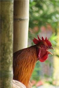 Rooster Crowing in the Morning Barnyard Animal Journal