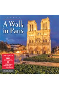 A Walk in Paris 2020 Wall Calendar