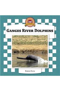 Ganges River Dolphins