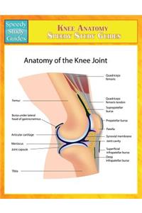 Knee Anatomy (Speedy Study Guides)