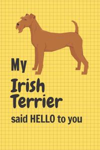 My Irish Terrier said HELLO to you