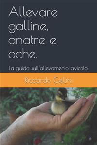 Allevare galline, anatre e oche.