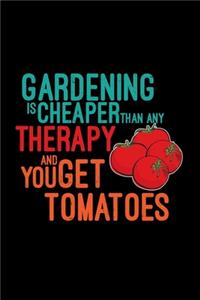 Gardening Tomatoes