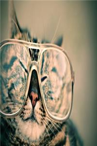 Cat with glasses