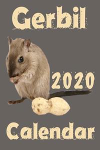 Gerbil 2020 Calendar