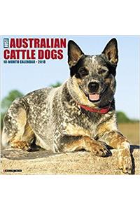 Just Australian Cattle Dogs 2018 Wall Calendar (Dog Breed Calendar)