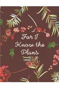 For I Know The Plans