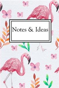 Notes & Ideas